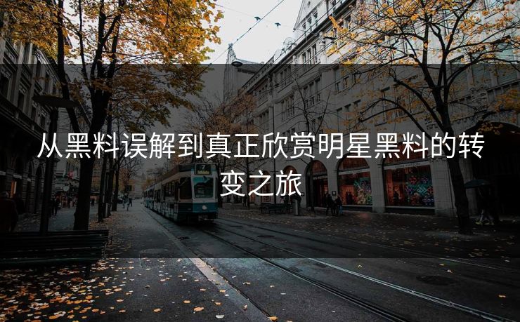 从黑料误解到真正欣赏明星黑料的转变之旅