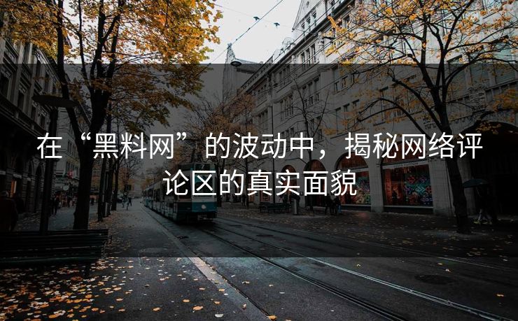在“黑料网”的波动中，揭秘网络评论区的真实面貌