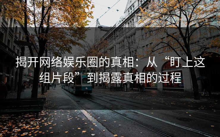 揭开网络娱乐圈的真相：从“盯上这组片段”到揭露真相的过程