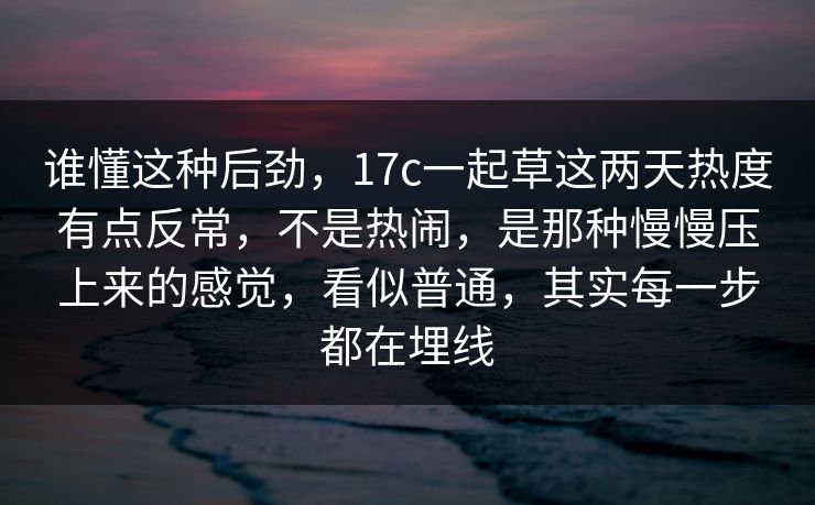 谁懂这种后劲，<strong>17C</strong>一起草这两天热度有点反常，不是热闹，是那种慢慢压上来的感觉，看似普通，其实每一步都在埋线