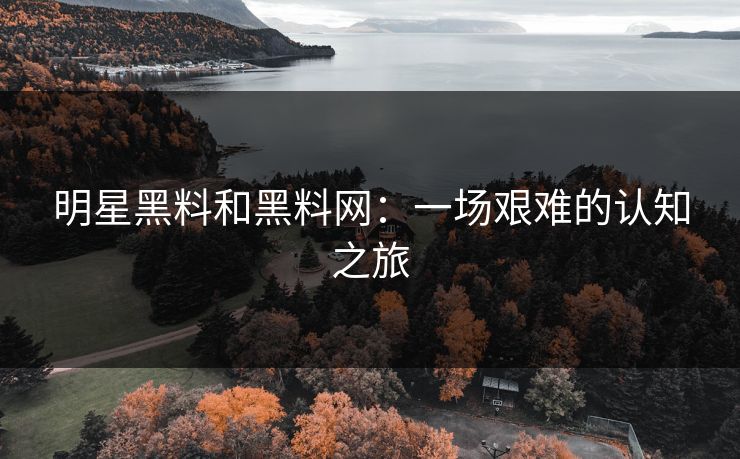 明星黑料和黑料网：一场艰难的认知之旅