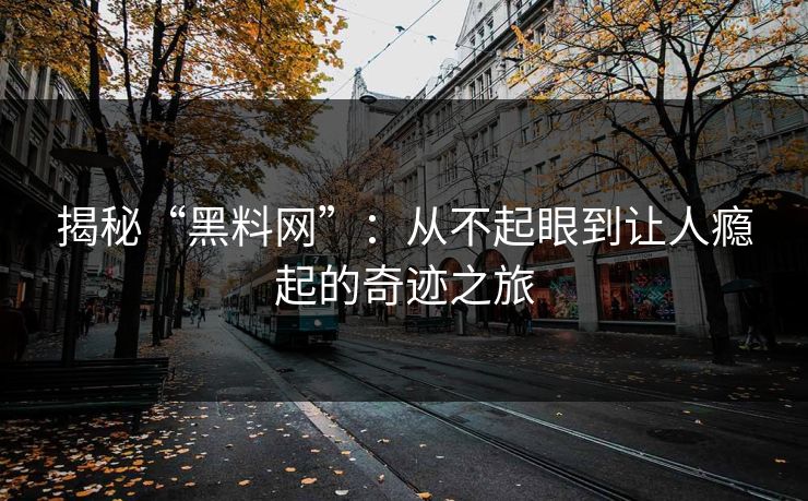 揭秘“黑料网”：从不起眼到让人瘾起的奇迹之旅